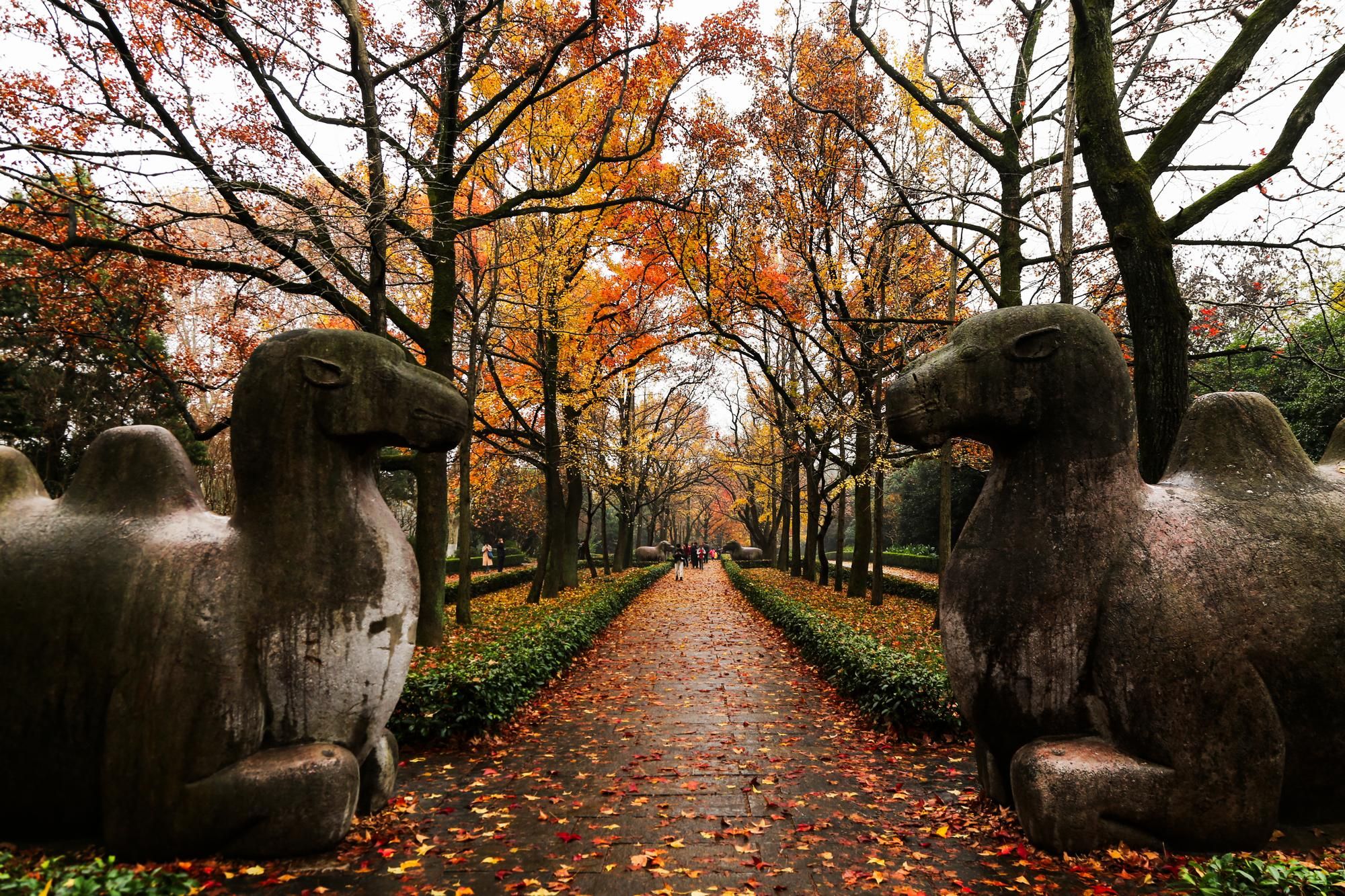 Nanjing: Purple Mountain und Ming-Xiaoling-Mausoleum