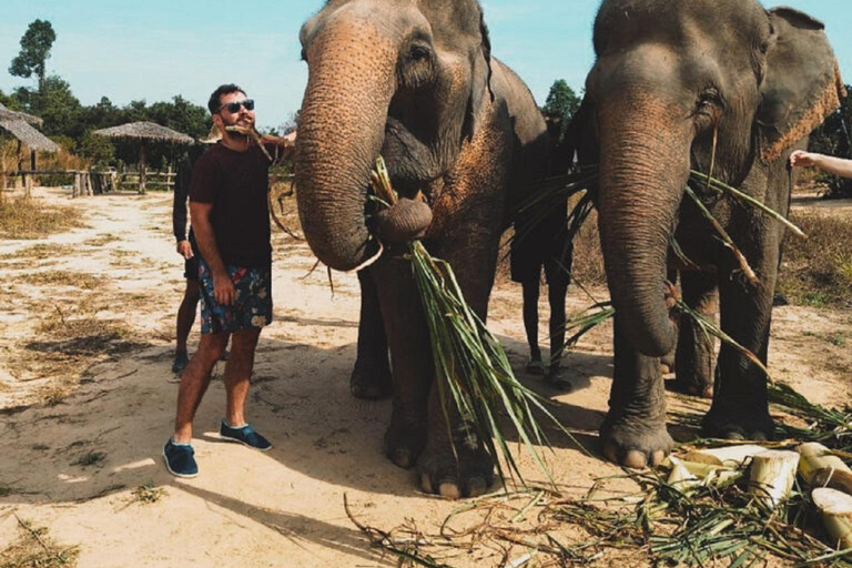 Visite du sanctuaire des éléphants et du temple de Banteay Srey au Cambodge