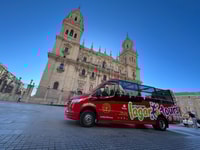 Jaén, Hop-On / Off Sightseeing Bus Tour + Olive oil tasting - Housity