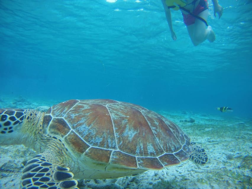 Lombok Priv Eilandtour Per Boot Met Snorkelen Getyourguide