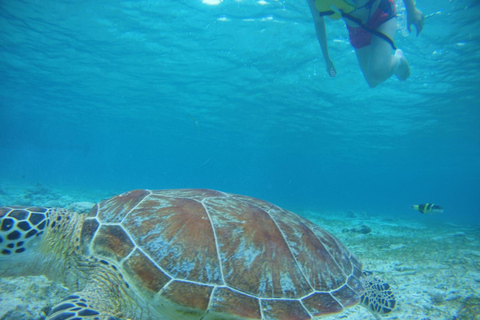 Lombok: Private Island Tour with Snorkeling