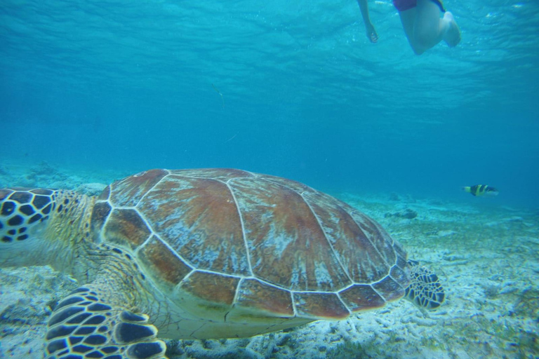 Lombok: Private Island Tour with Snorkeling