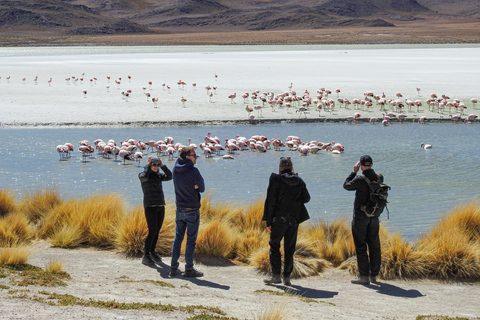 La Paz: 4-Day Uyuni Salt Flats to San Pedro de Atacama ENGLISH-SPEAKING GUIDE