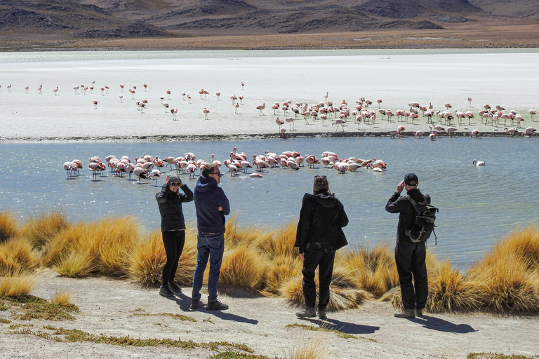 La Paz: 4-Day Uyuni Salt Flats to San Pedro de Atacama ENGLISH-SPEAKING GUIDE