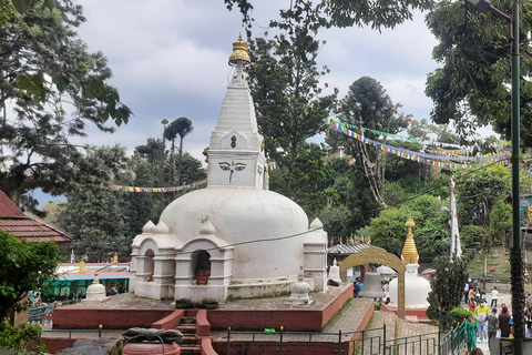 Kathmandu Valley: Top 4 UNESCO World Heritage Sites Day Tour