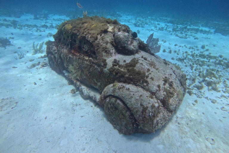 Isla Mujeres: Snorkel tour in 3 spots, Underwater Museum, and reefs! Isla Mujeres: Snorkeling tour in 3 spots, Underwater Museum and reefs!