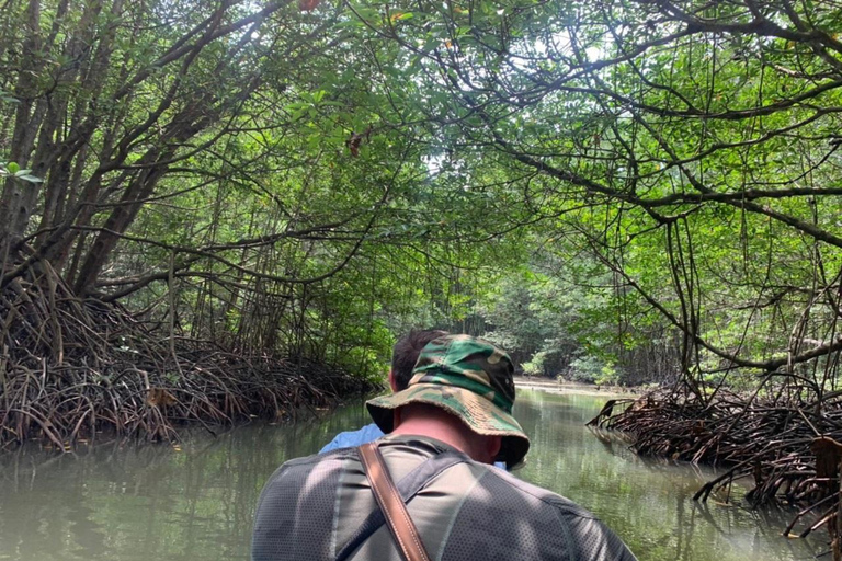 Monkey Island + Can Gio Mangrove Forest - Shared Tour Mangrove Forest