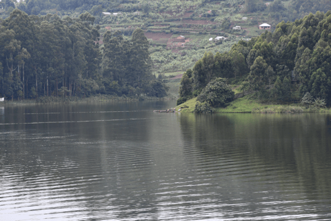 Uganda: 9-dagars safari med primatspårning och vilda djur