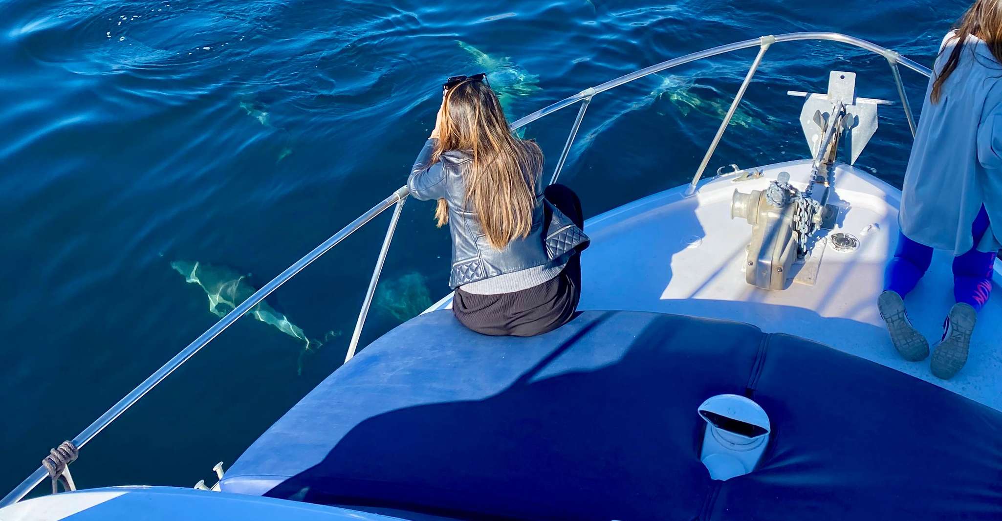Desde Benalmádena & Torremolinos, viaje en barco de Dolphin Watch - Hizvo