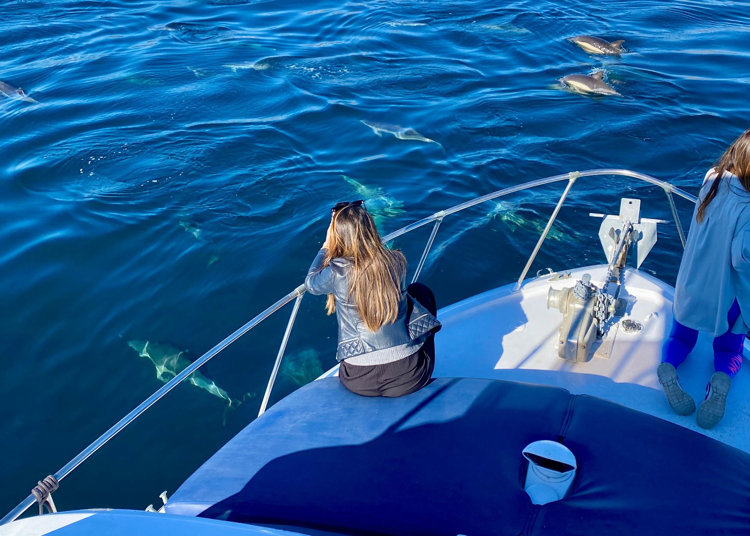Von Benalmádena & Torremolinos: Delfinbeobachtungstour per Boot