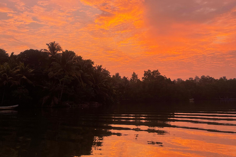Koggala Lake Guided Boat Safari with Hotel Pickup & Drop Off