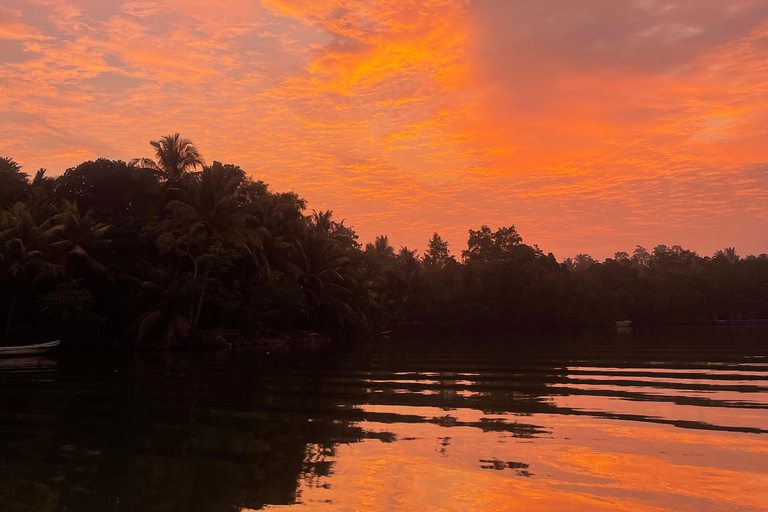 Koggala Lake Guided Boat Safari with Hotel Pickup & Drop Off