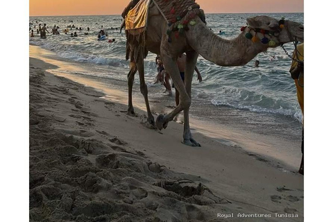 Sousse: Guided Countryside & Olive Grove Camel Ride Countryside Camel Ride with Sousse Hotel Transfer