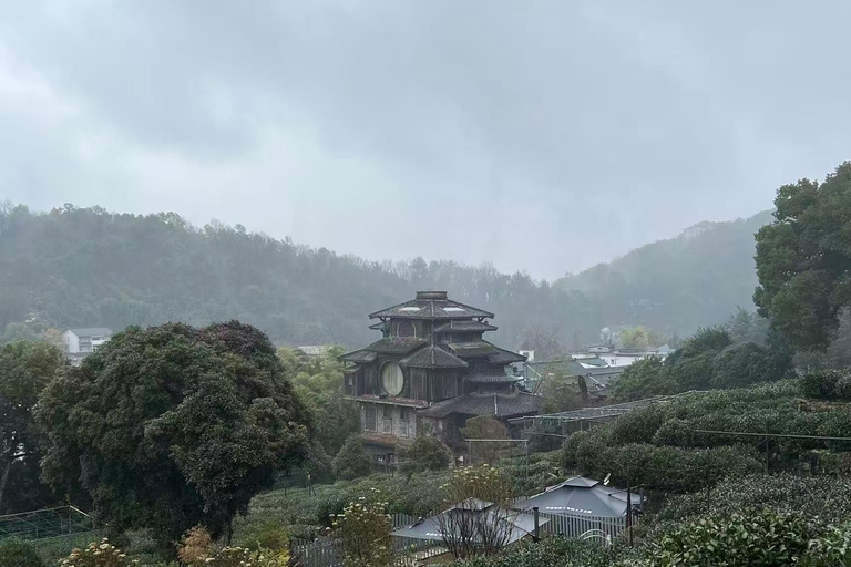 Hangzhou: Small-Group Day Trip from Shanghai by Bullet Train