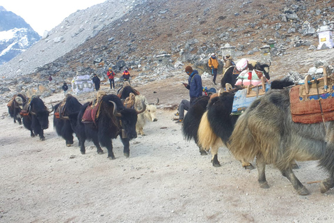 Katmandú: 14 días en el campo base del Everest