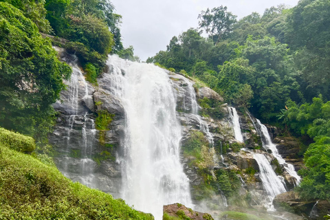 Chiang Mai : Pa Bong Piang Rice Terraces &amp; Doi Inthanon