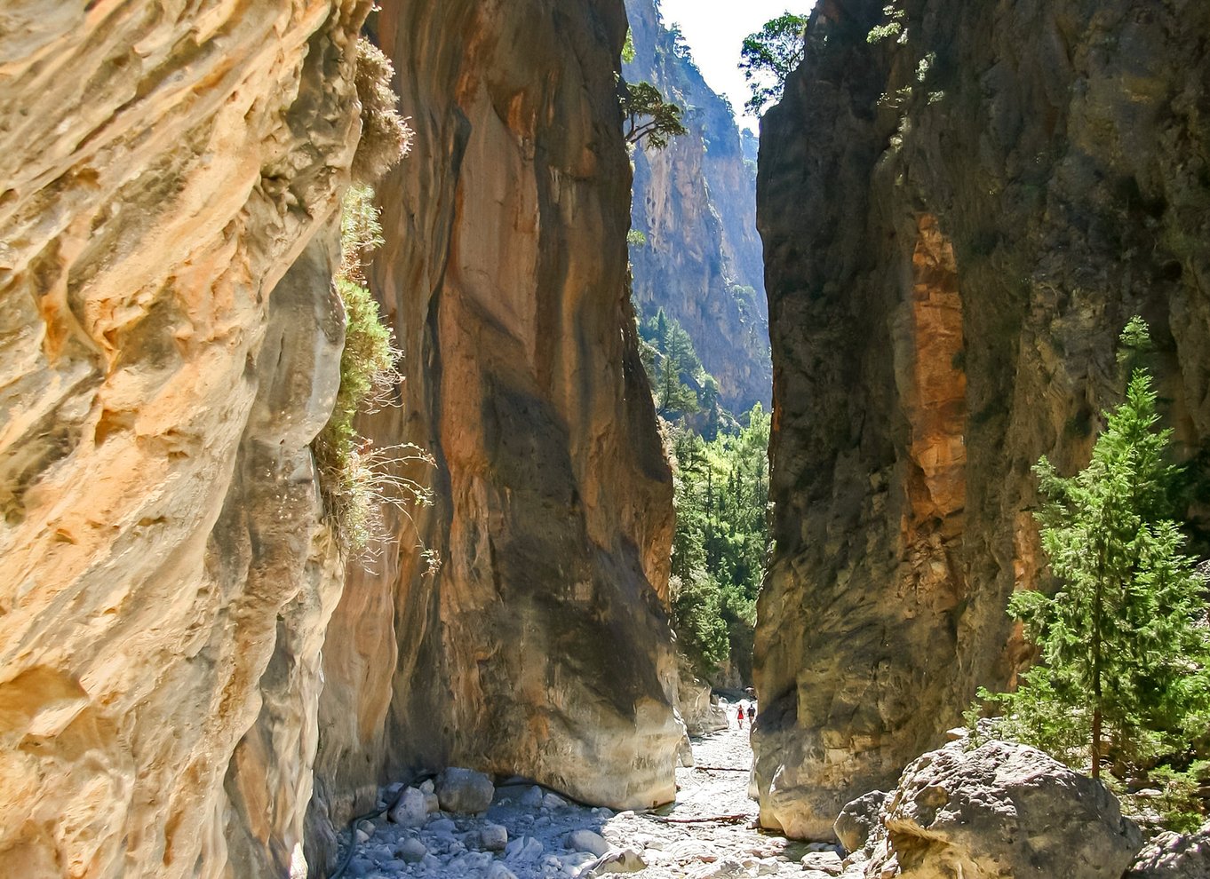 Fra Chania: Heldagsudflugt i Samaria-kløften med guide