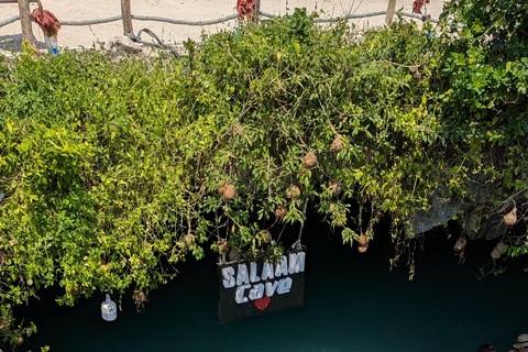 Zanzibar: The Rock Restaurant and Salaam Cave Private Tour with Hotel transfer at Anywhere in Zanzibar