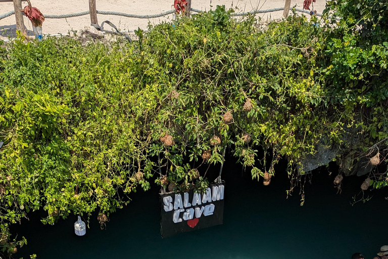 Zanzibar: The Rock Restaurant and Salaam Cave Private Tour with Hotel transfer at Anywhere in Zanzibar