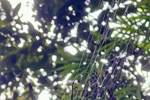 Chiang Mai 2-Day Adventure: Trekking, Tubing & Waterfalls 1-Night Jungle Stay - Trek, Tubing & Waterfall