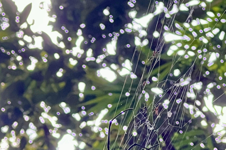 Chiang Mai 2-Day Adventure: Trekking, Tubing & Waterfalls 1-Night Jungle Stay - Trek, Tubing & Waterfall