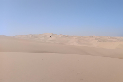 Walvis Bay: Sandwich Harbour Half-Day 4x4 Tour