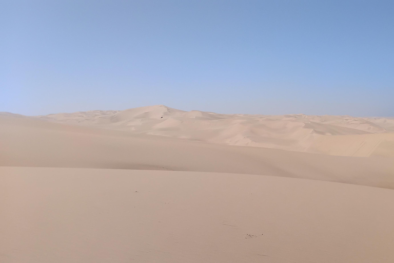 Walvis Bay: Sandwich Harbour Half-Day 4x4 Tour