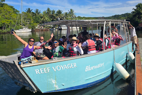 Pacific Harbour: 1 Mile Reef Guided Snorkeling Tour & Gear