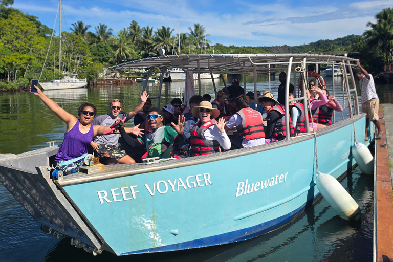 Pacific Harbour: 1 Mile Reef Guided Snorkeling Tour & Gear