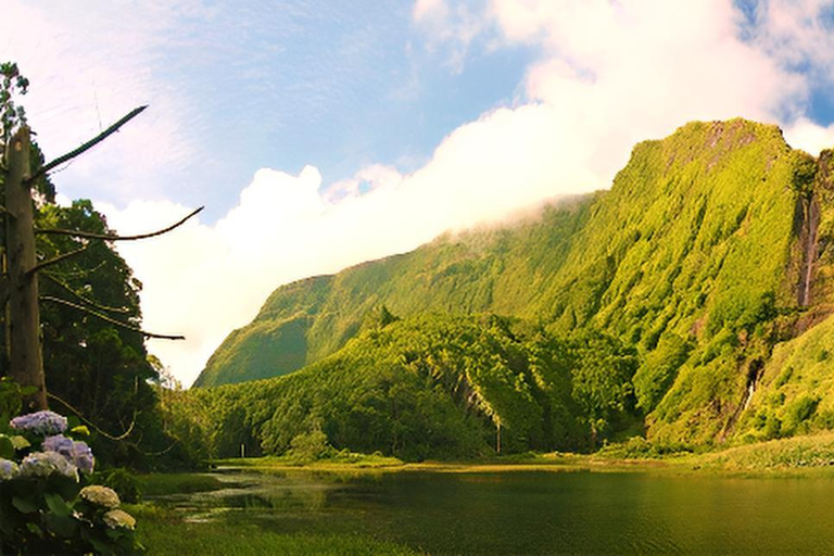Flores Island: Half-Day Guided Tour of Lagoons, Waterfalls, and Viewpoints Flower Island: Half-Day Guided Tour to Lagoons, Waterfalls, and Viewpoints