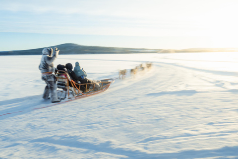 Rovaniemi: Insider 10 km Husky Sled Ride
