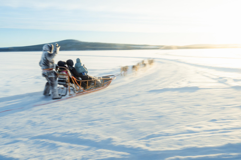 Rovaniemi: Insider 10 km Husky Sled Ride
