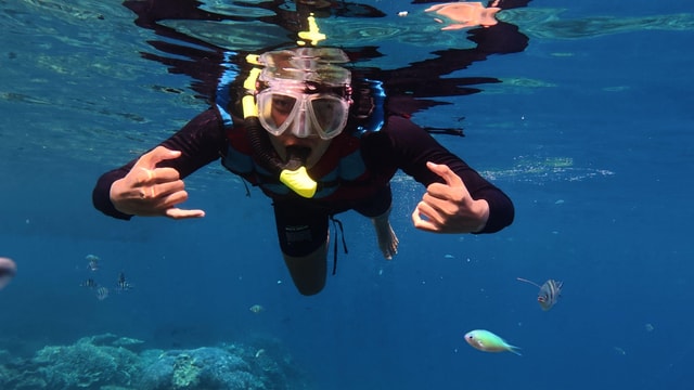 Salalah: Mirbat Snorkeling or Scuba Diving Adventure