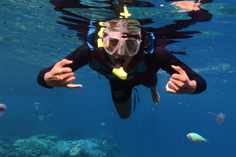Salalah: Mirbat Snorkeling or Scuba Diving Adventure Mirbat Scuba Diving Adventure