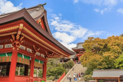 From Tokyo: Tokyo Full Day Private Customization City Tour Tokyo Private fully Customized Tour