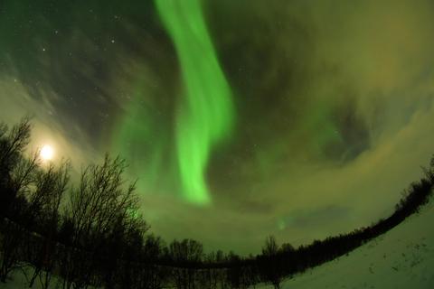 Abisko : Chasse aux aurores en motoneigeAurora chasing - Traîneau