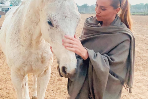 Avventura a cavallo a Jaipur