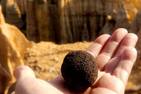 A sensory walk at Les Orgues, between nature and landscape A sensory walk at the Orgues, between Nature and Landscape