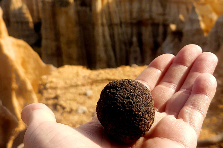 A sensory walk at Les Orgues, between nature and landscape A sensory walk at the Orgues, between Nature and Landscape