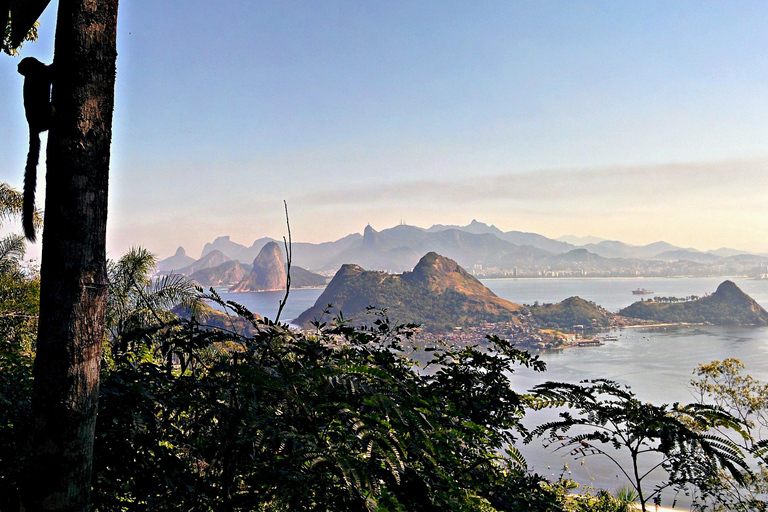 Rio de Janeiro: Niteroi, a Scenic city across the Rio's Bay