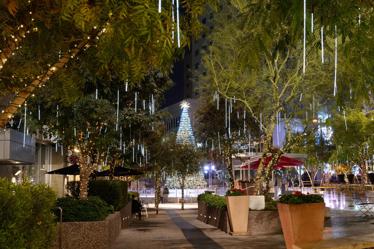 Enchanted Holiday Walk: Phoenix’s Festive Delight