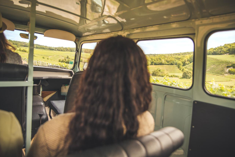 From the vines to the Champagne glass with a vintage car The heart of the Champagne region