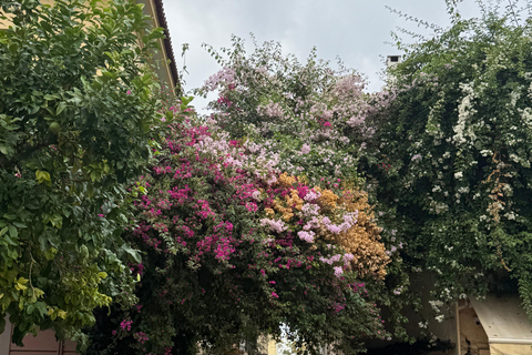 Dieux, héros et vue sur l&#039;Acropole : visite à pied de l&#039;Athènes mythique