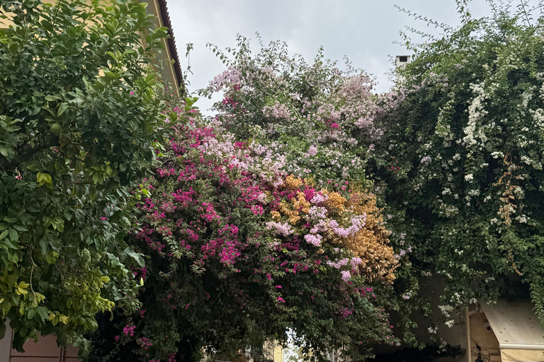 Dieux, héros et vue sur l&#039;Acropole : visite à pied de l&#039;Athènes mythique