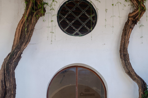 Cádiz: Bodegas Barbadillo Tour & Wine Tasting Cádiz: Bodegas Barbadillo Tour & Wine Tasting in Spanish