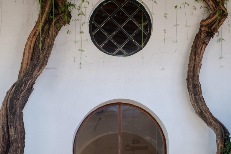 Cádiz: Bodegas Barbadillo Tour & Wine Tasting Cádiz: Bodegas Barbadillo Tour & Wine Tasting in Spanish