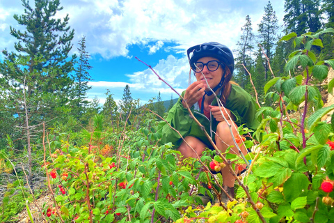E-Bike &amp; Brews : circuit à vélo électrique le long de la rivière Platte et des brasseries de DenverVisite de groupe ouverte