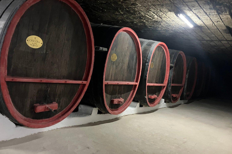 From Chisinau: The Soviet Wine Safari