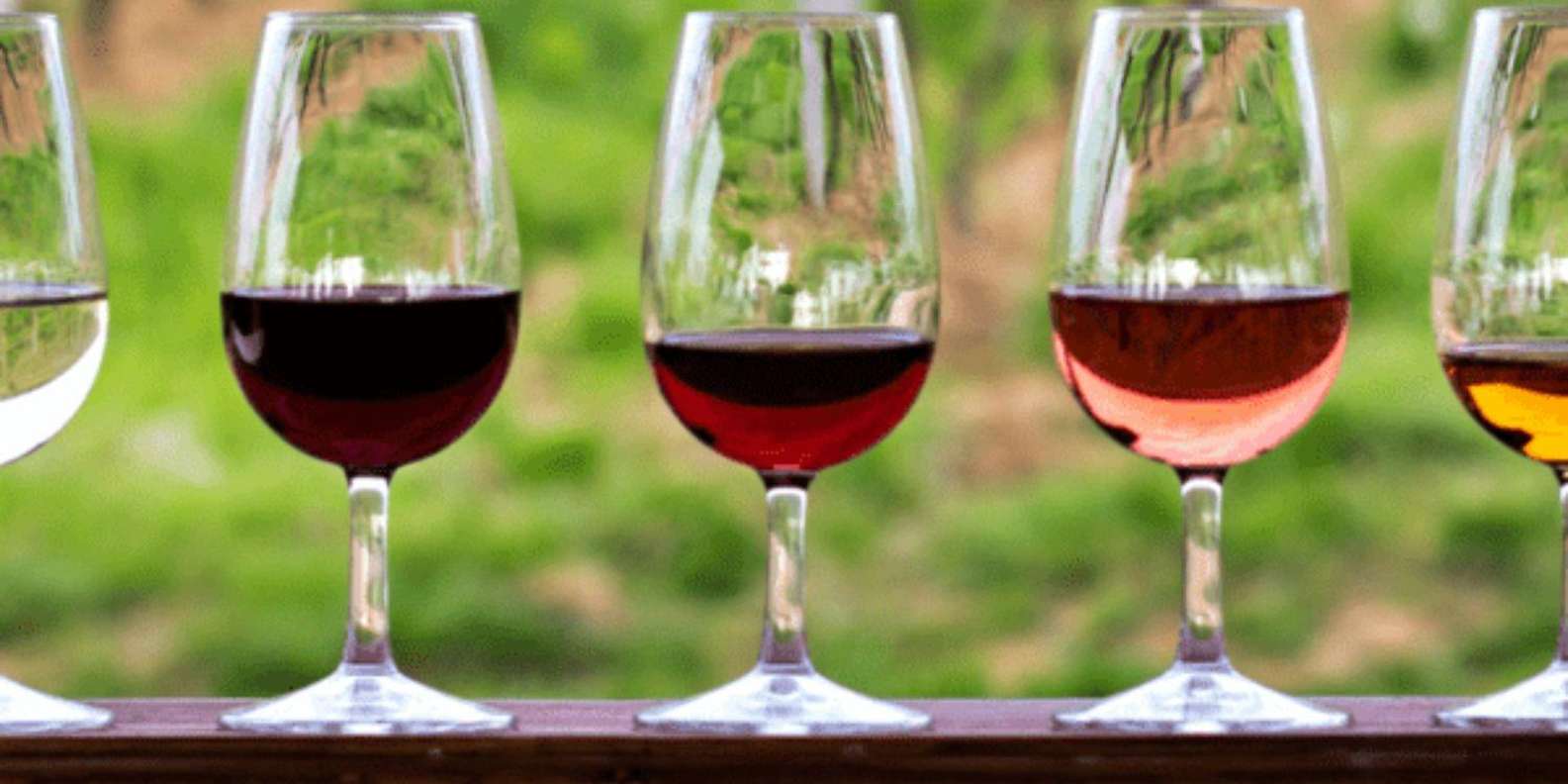 Private Tuscany wine tour — Chianti winery visit — image 2