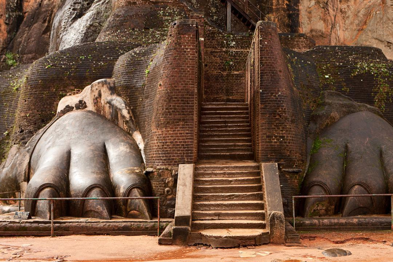 Jednodniowa wycieczka z Kolombo do Sigiriya Lion Rock